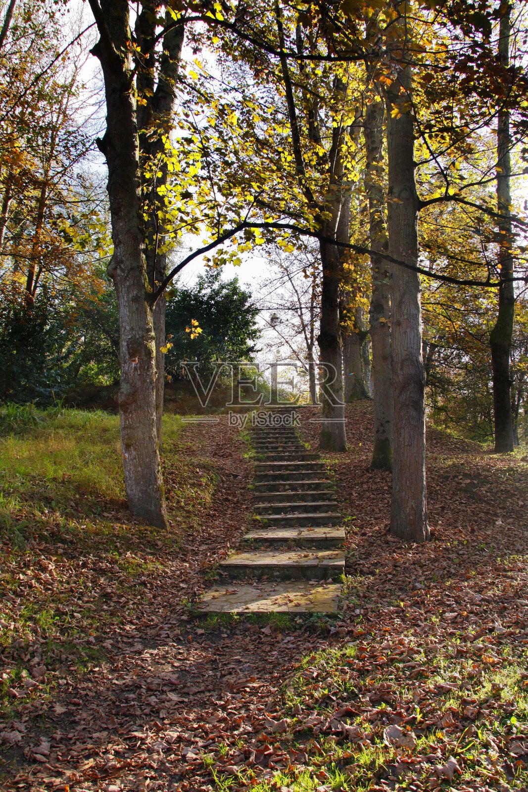 La Cebera公共公园照片摄影图片