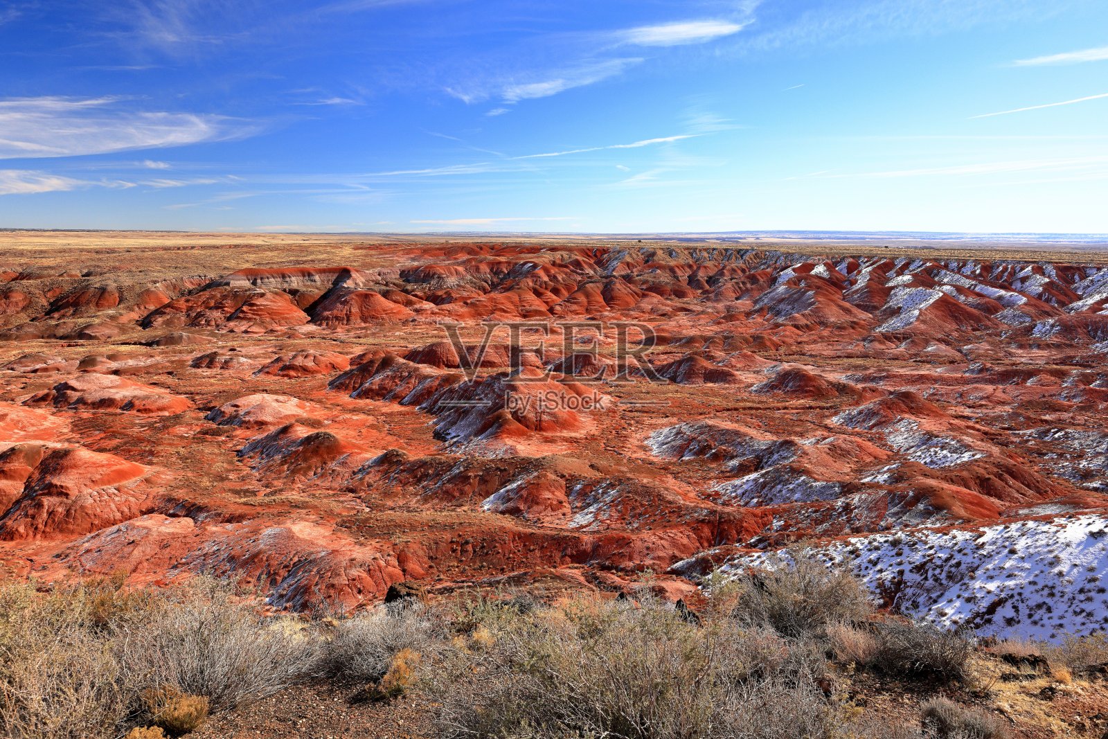 石化森林国家公园，一个拥有许多石化树干和化石的自然景点照片摄影图片