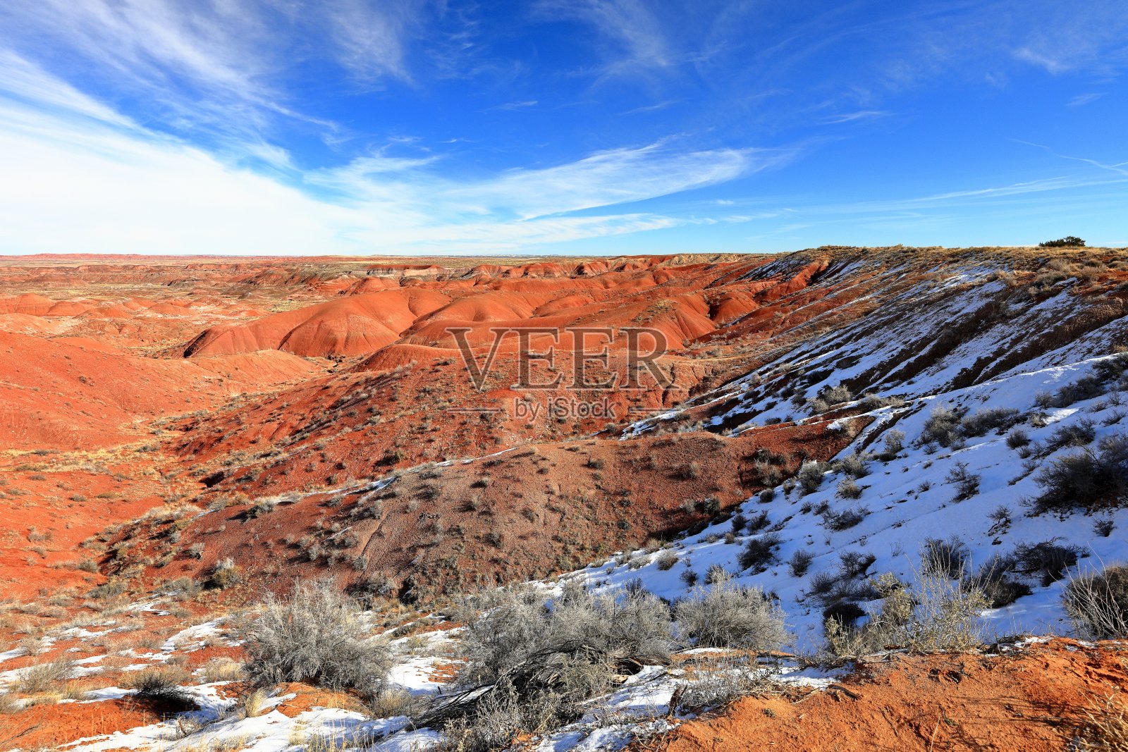 石化森林国家公园，一个拥有许多石化树干和化石的自然景点照片摄影图片