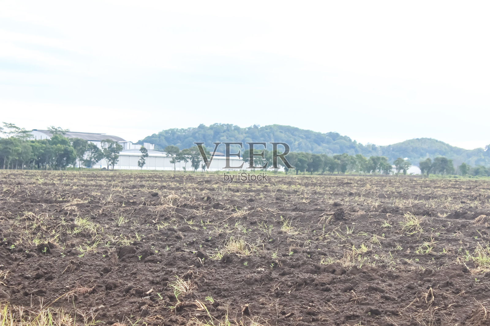 那块可以种植的土地照片摄影图片