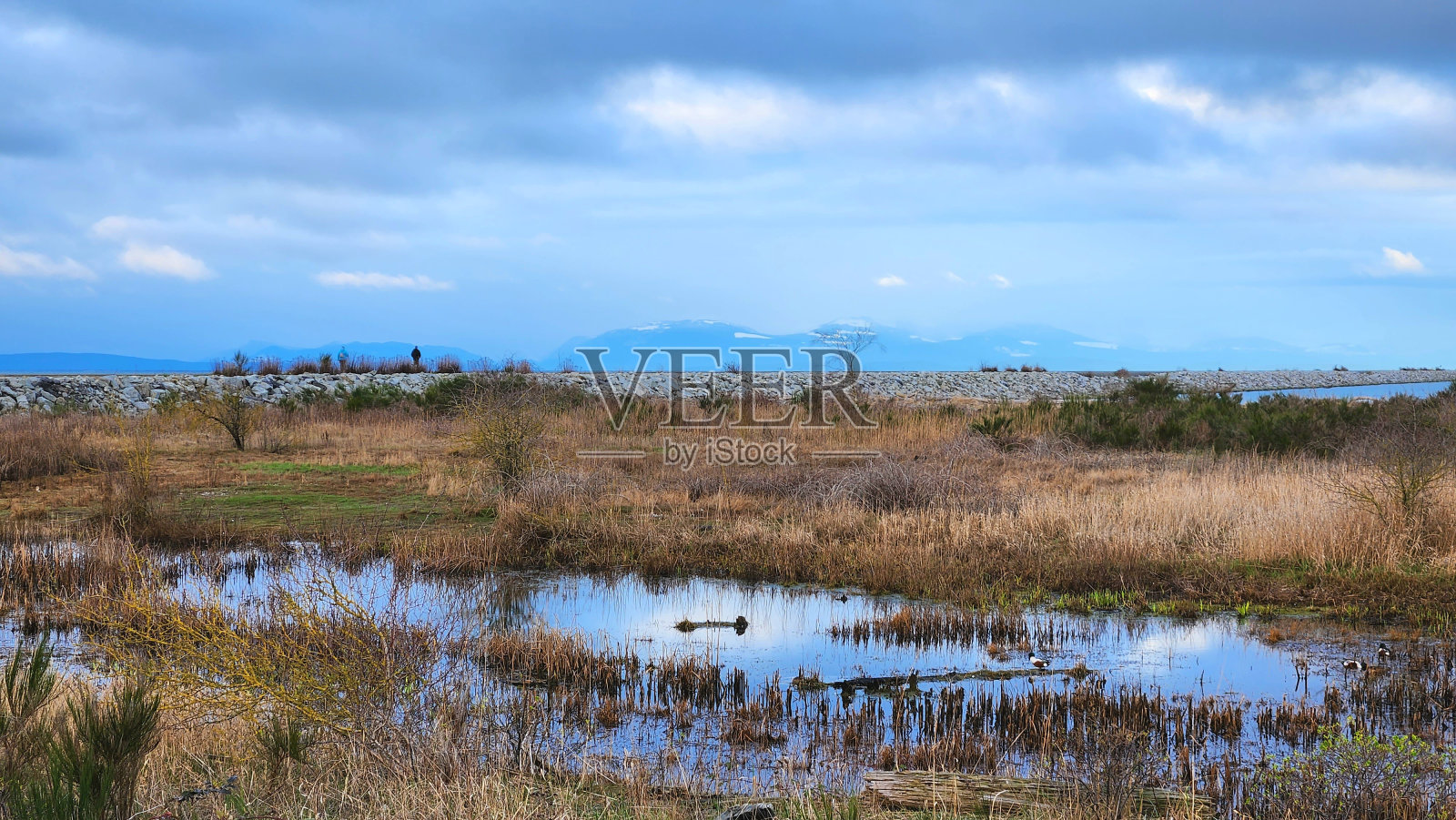 以山脉和远足径为背景的湿地照片摄影图片