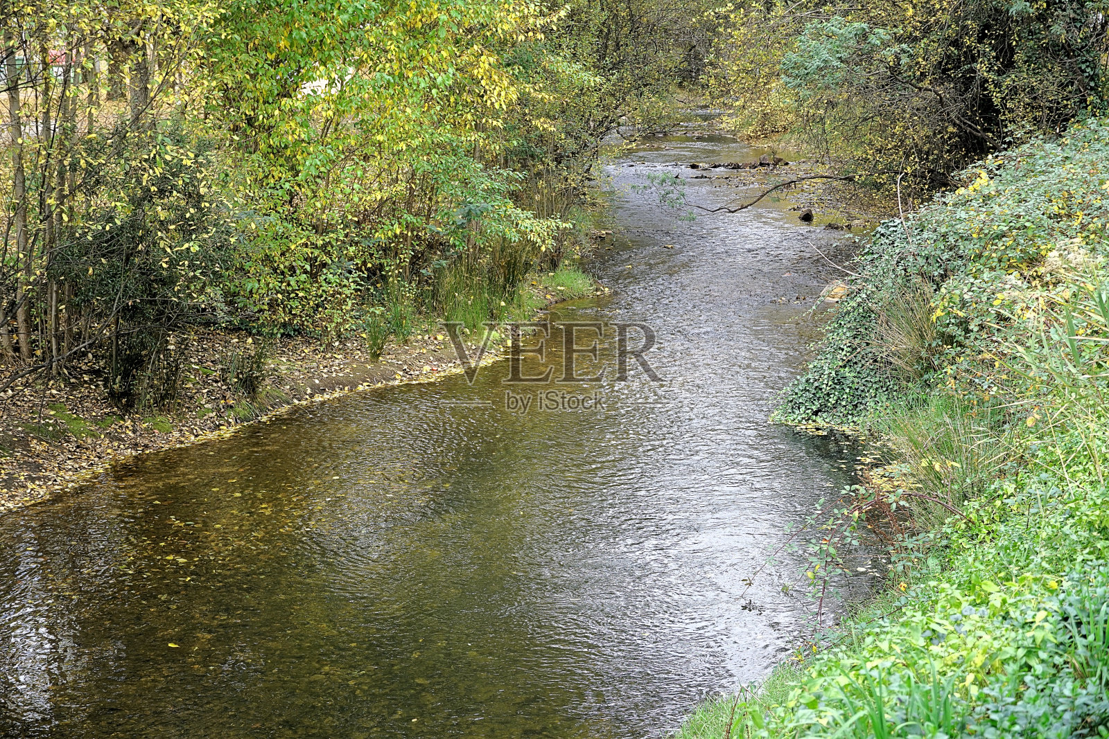 布莱特，维多利亚，澳大利亚照片摄影图片