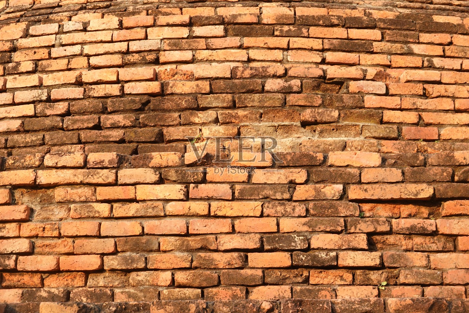 老砖墙纹理背景与绿叶照片摄影图片