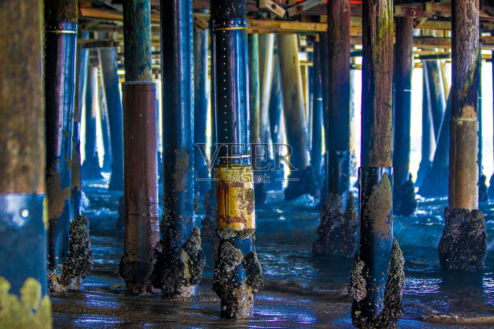 圣莫尼卡码头照片摄影图片