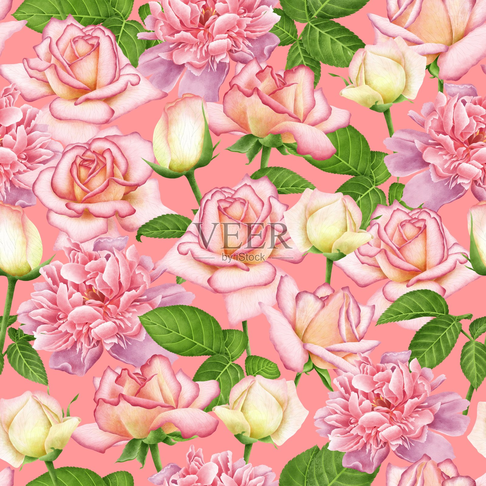 粉红色无缝背景与盛开的数字水彩粉红玫瑰和牡丹插画图片素材