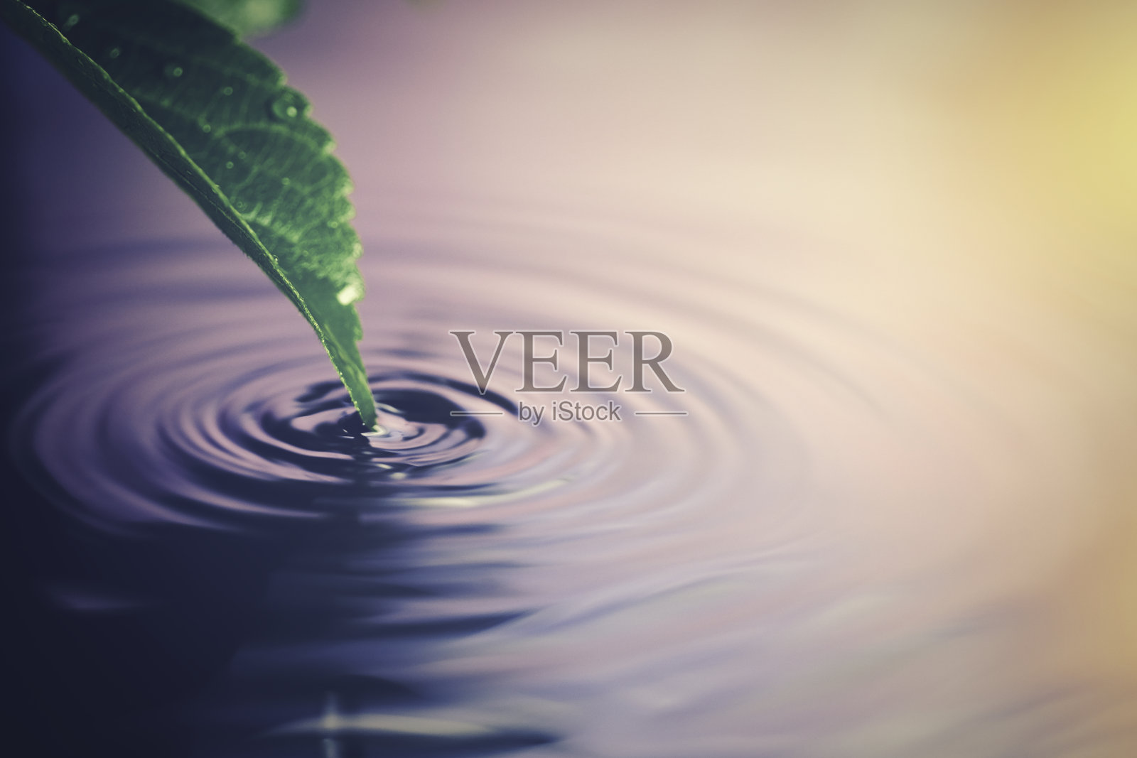 树叶上的水滴，水面上的涟漪照片摄影图片