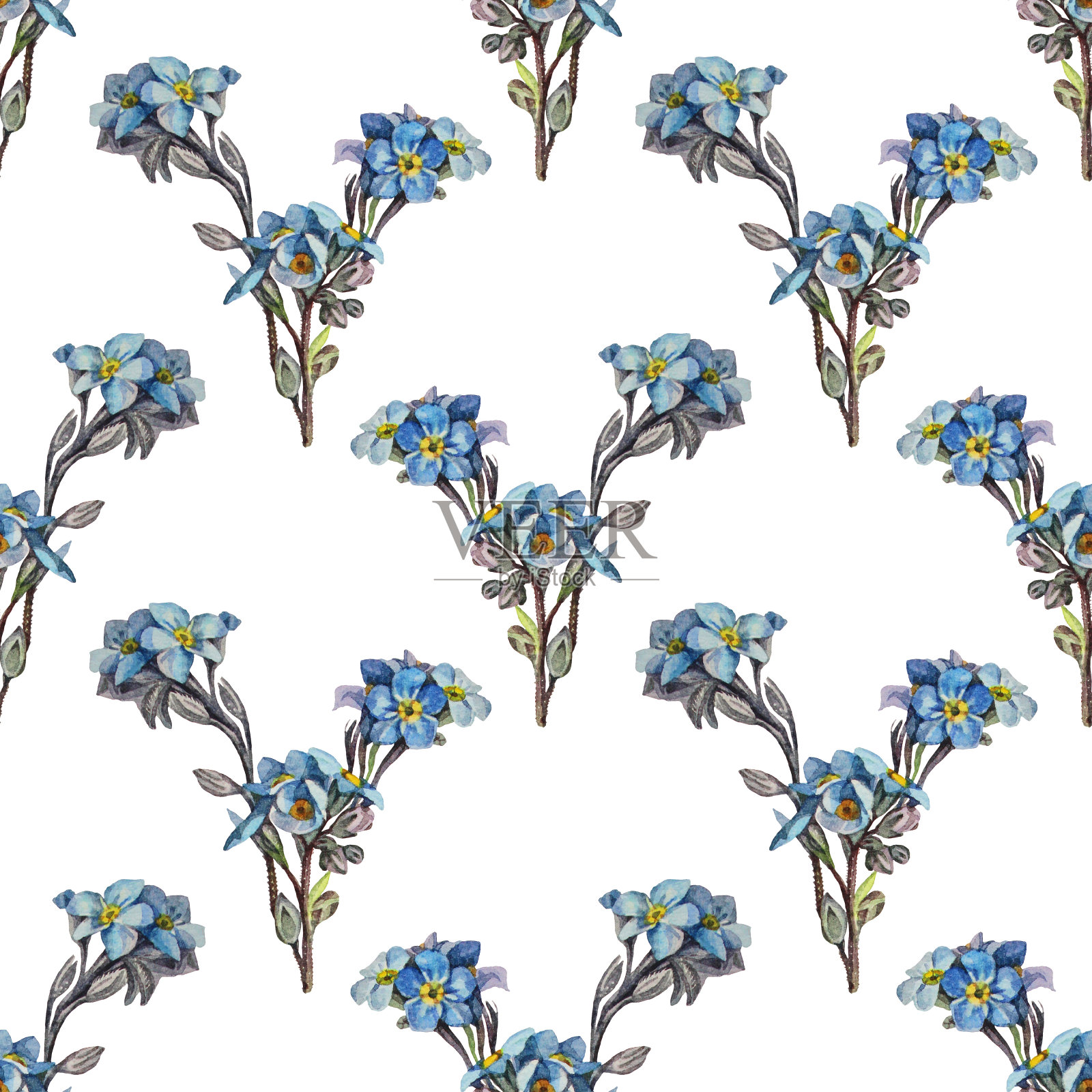 无缝模式与水彩勿忘我-白色背景。春夏花作写生本或卡片。手绘的墙纸或包装。复古浪漫元素插画图片素材