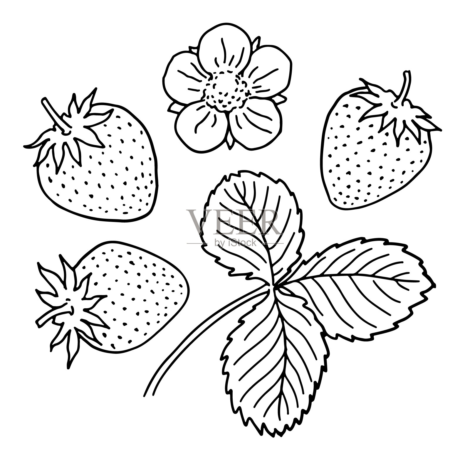 手绘草莓插画图片素材