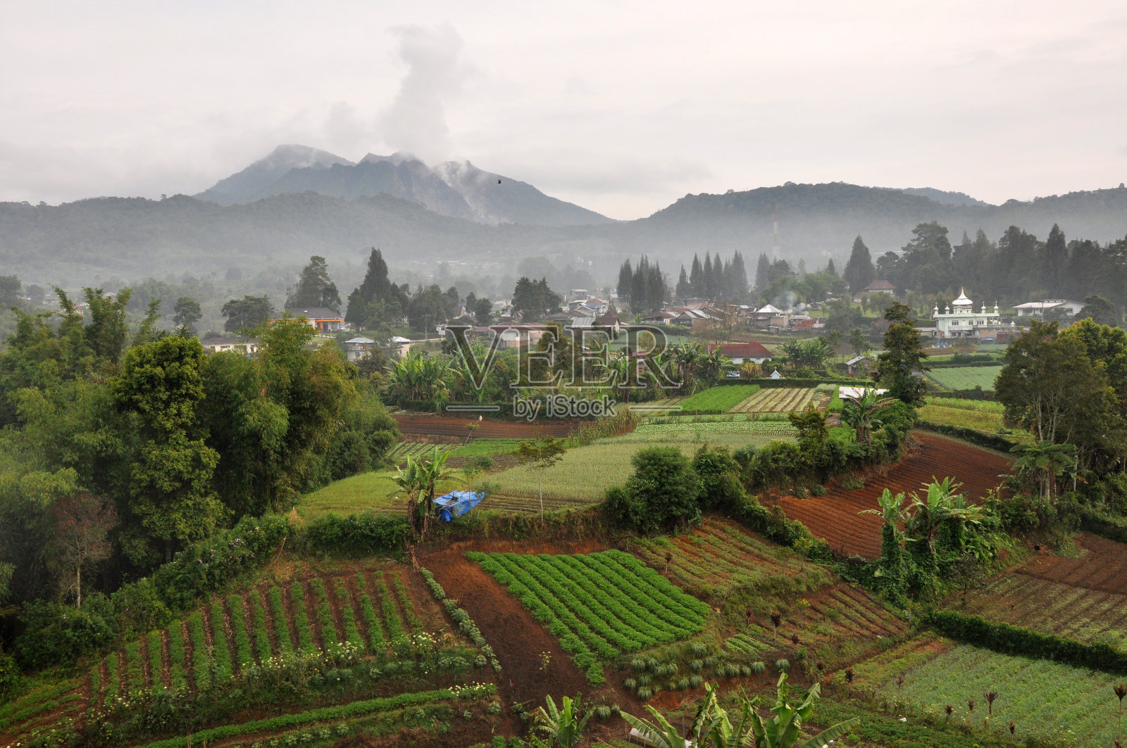 西巴亚克火山下的卢斯种植园照片摄影图片