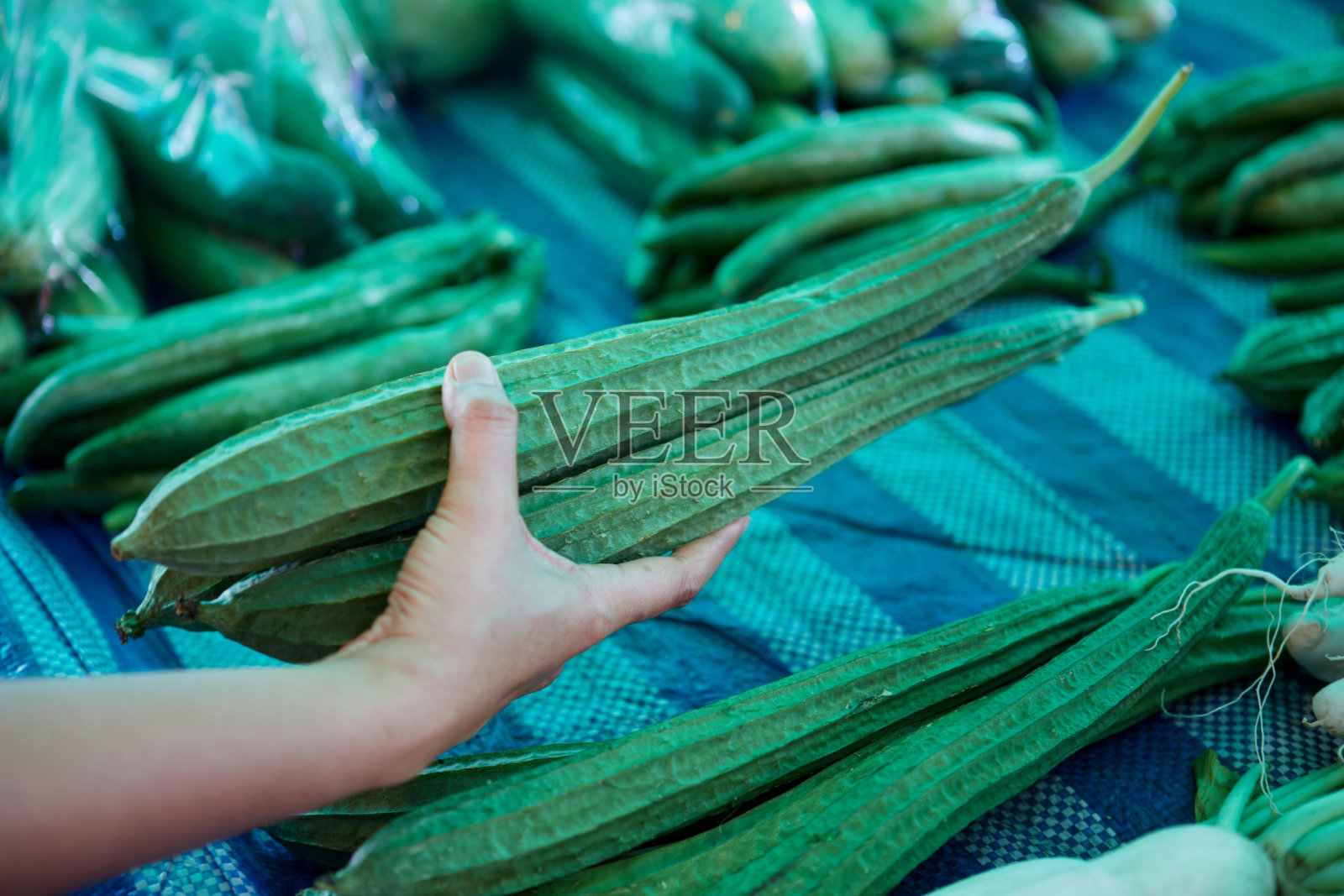 手工选择市场上新鲜的有机方形西葫芦或角丝瓜照片摄影图片