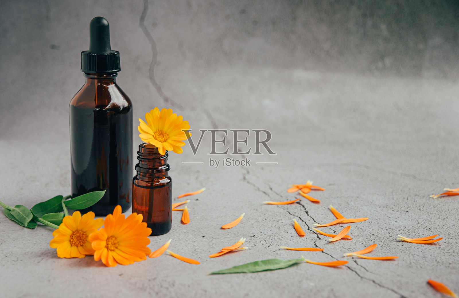 前视图的玻璃瓶金盏菊精油与新鲜的万寿菊。照片摄影图片