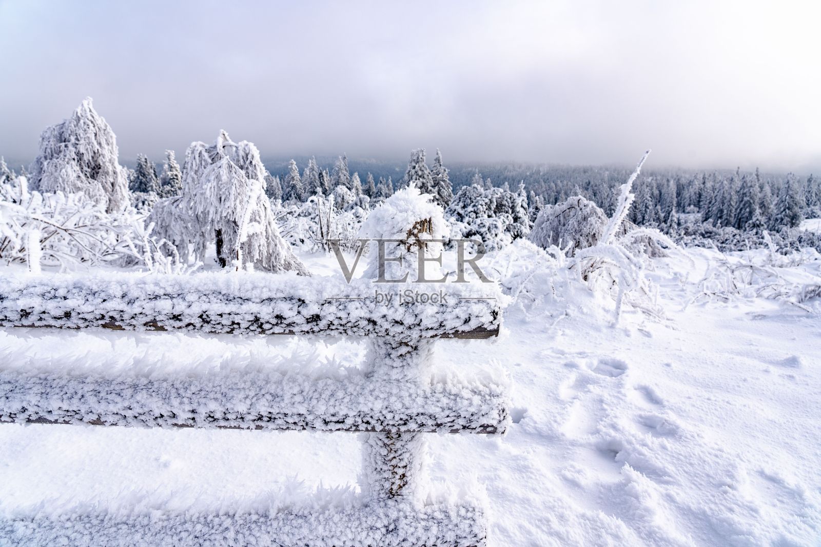 在一个寒冷的冬日里，树林里有一张木凳，上面覆盖着一层厚厚的新雪照片摄影图片