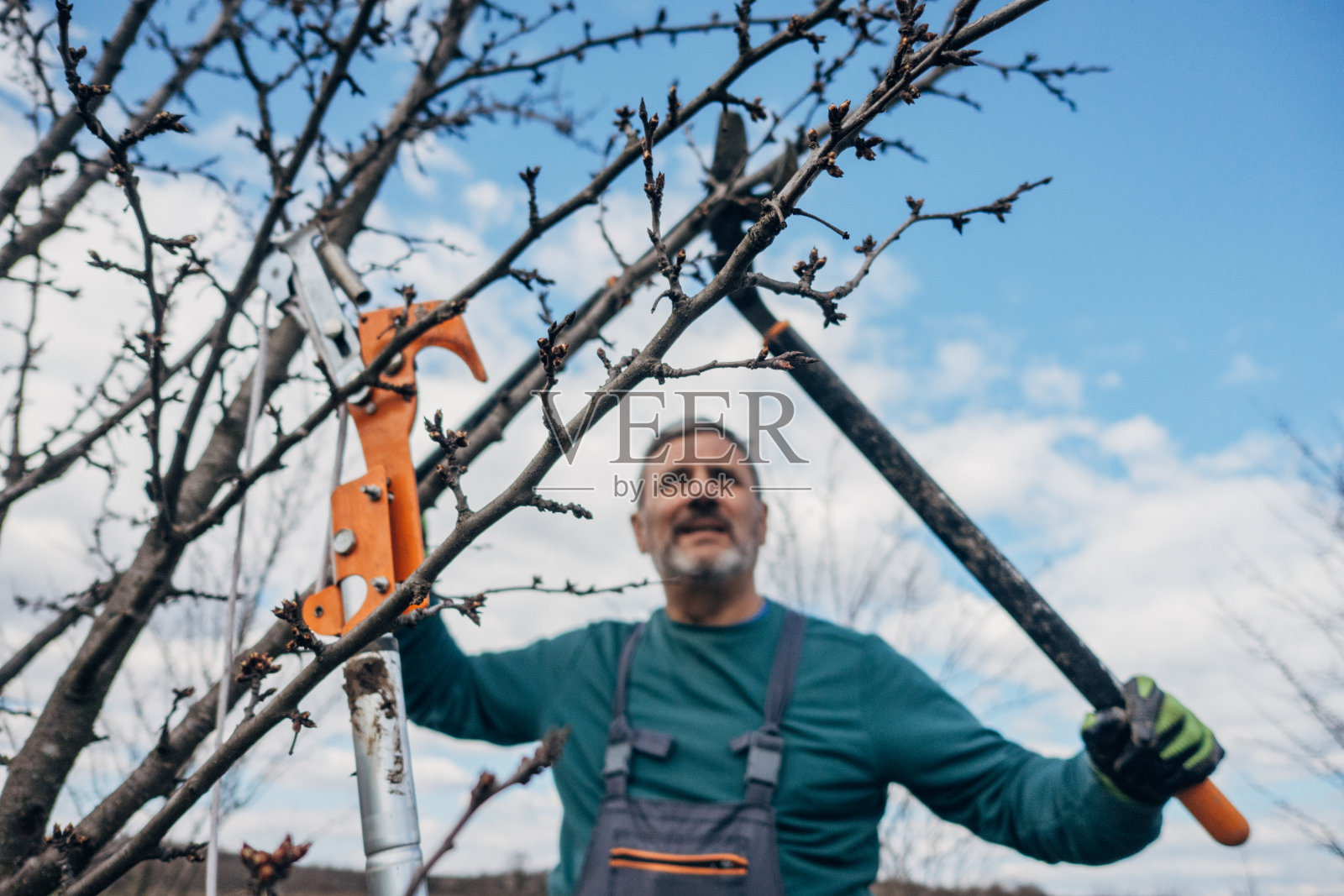 你自己干吧，那个给果园修剪的农民照片摄影图片