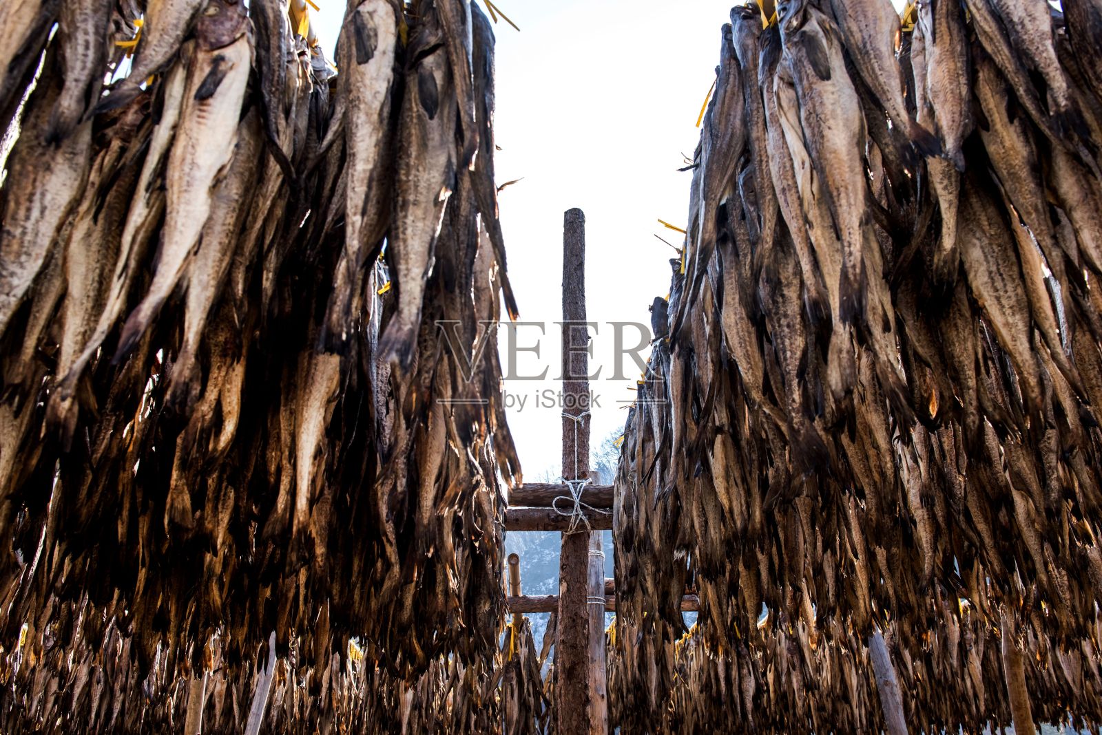 户外结构与捆干阿拉斯加鳕鱼和一个木杆在背景。照片摄影图片