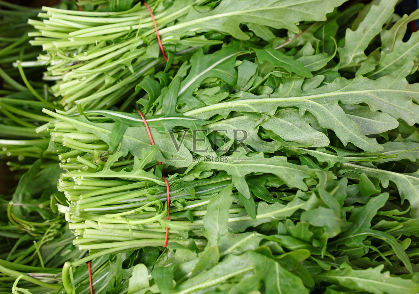 一堆新鲜的绿芝麻菜照片摄影图片