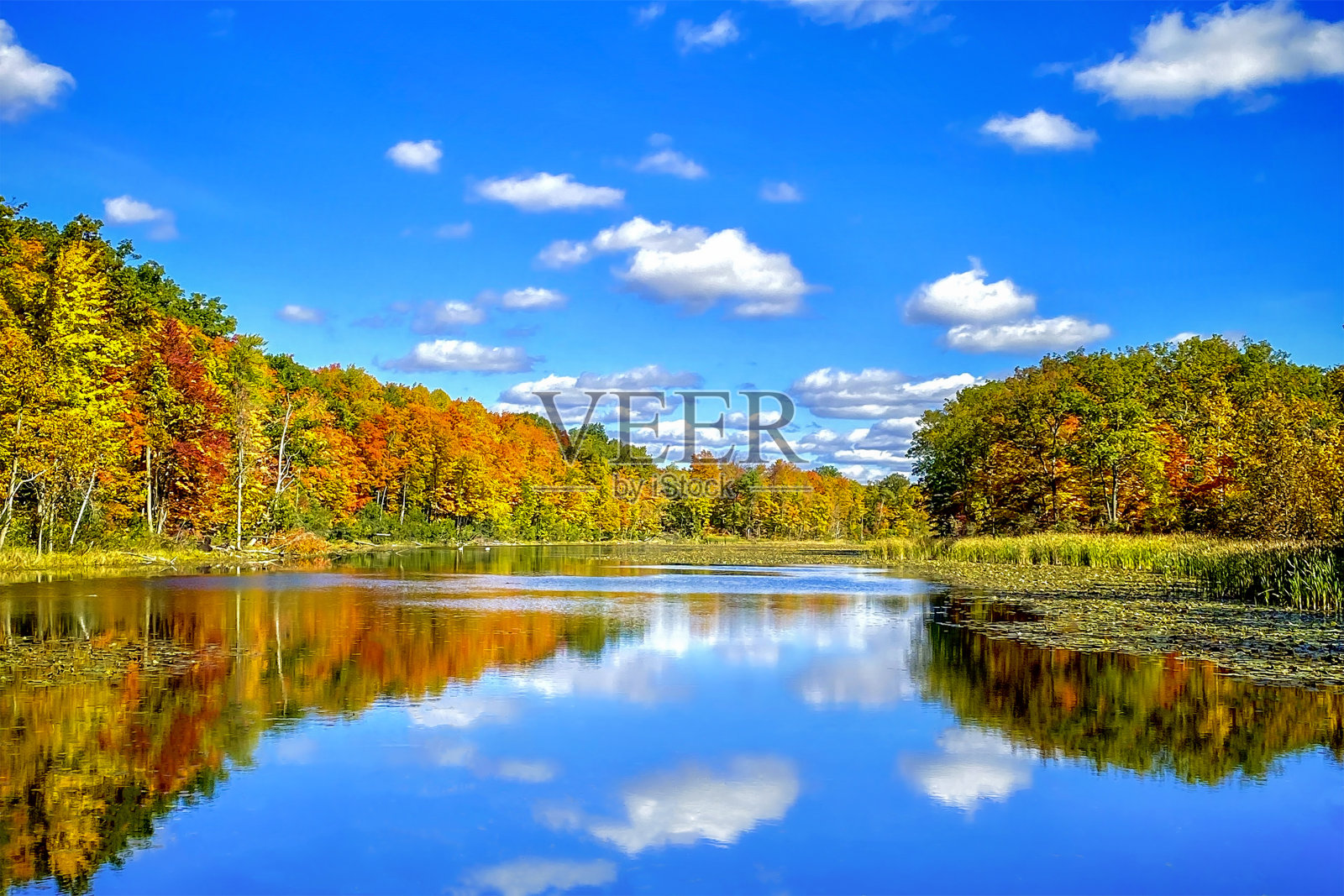 秋天的池塘照片摄影图片