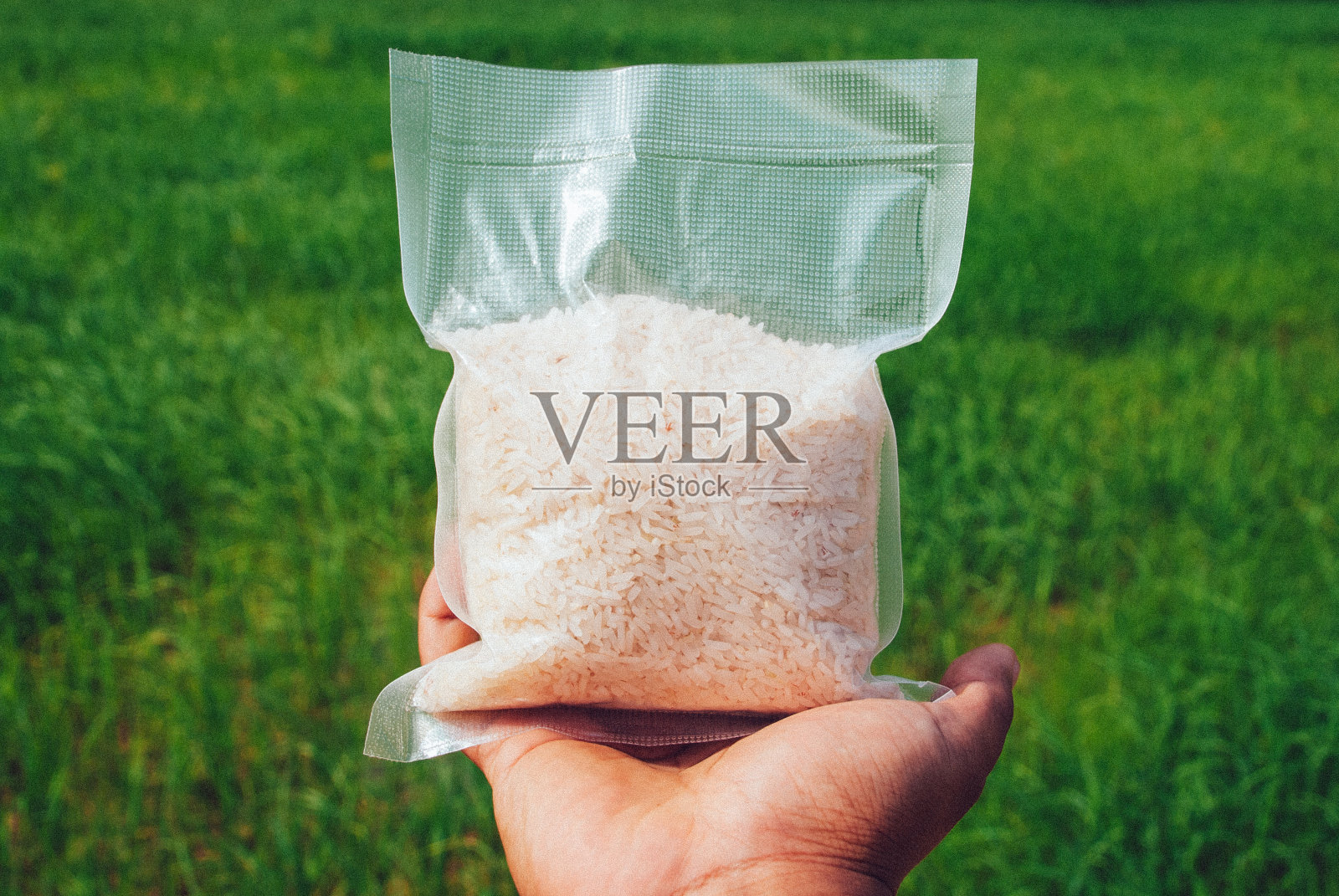 泰国白米照片摄影图片