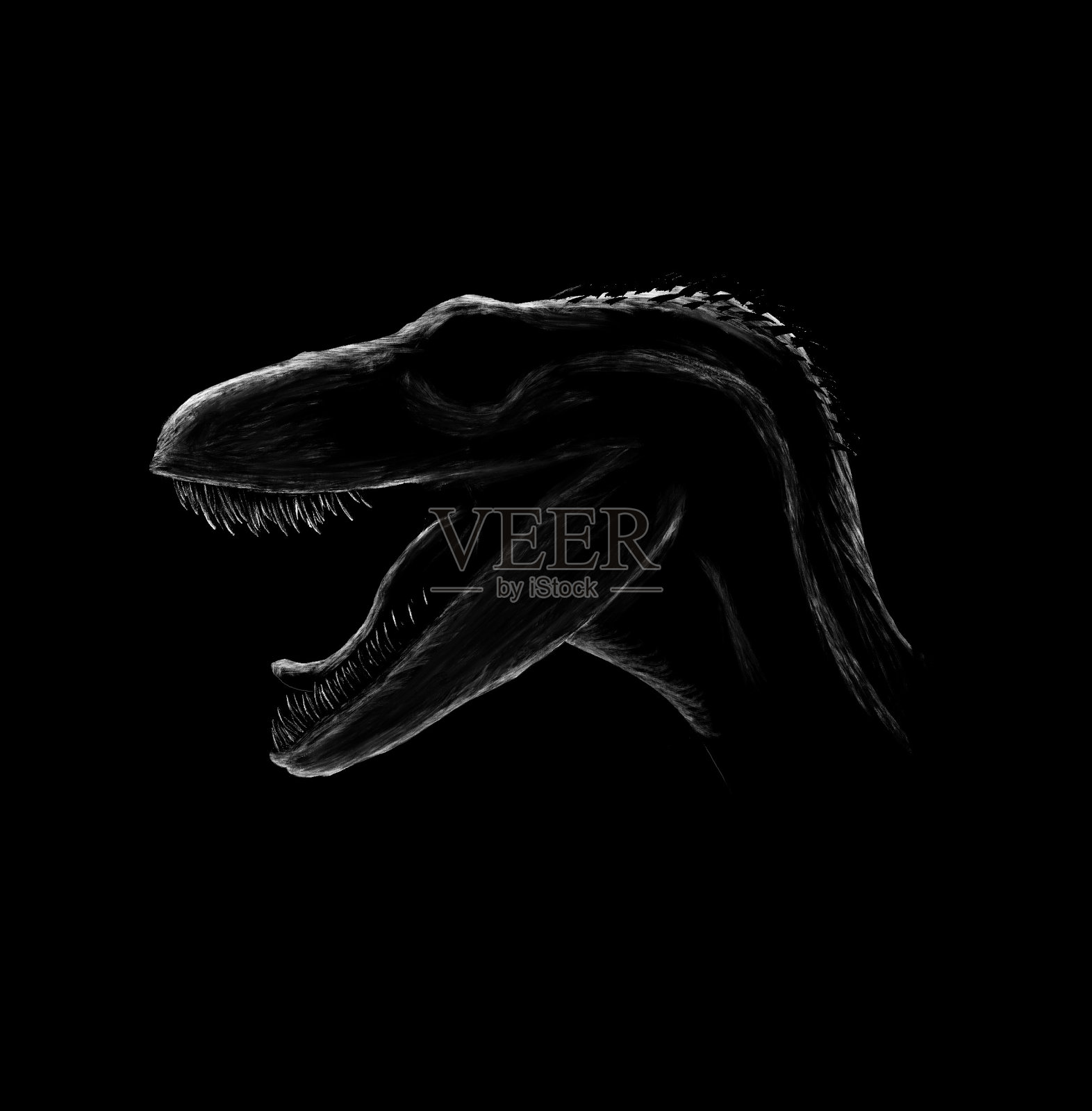 猛禽深色插图，生物设计插画图片素材