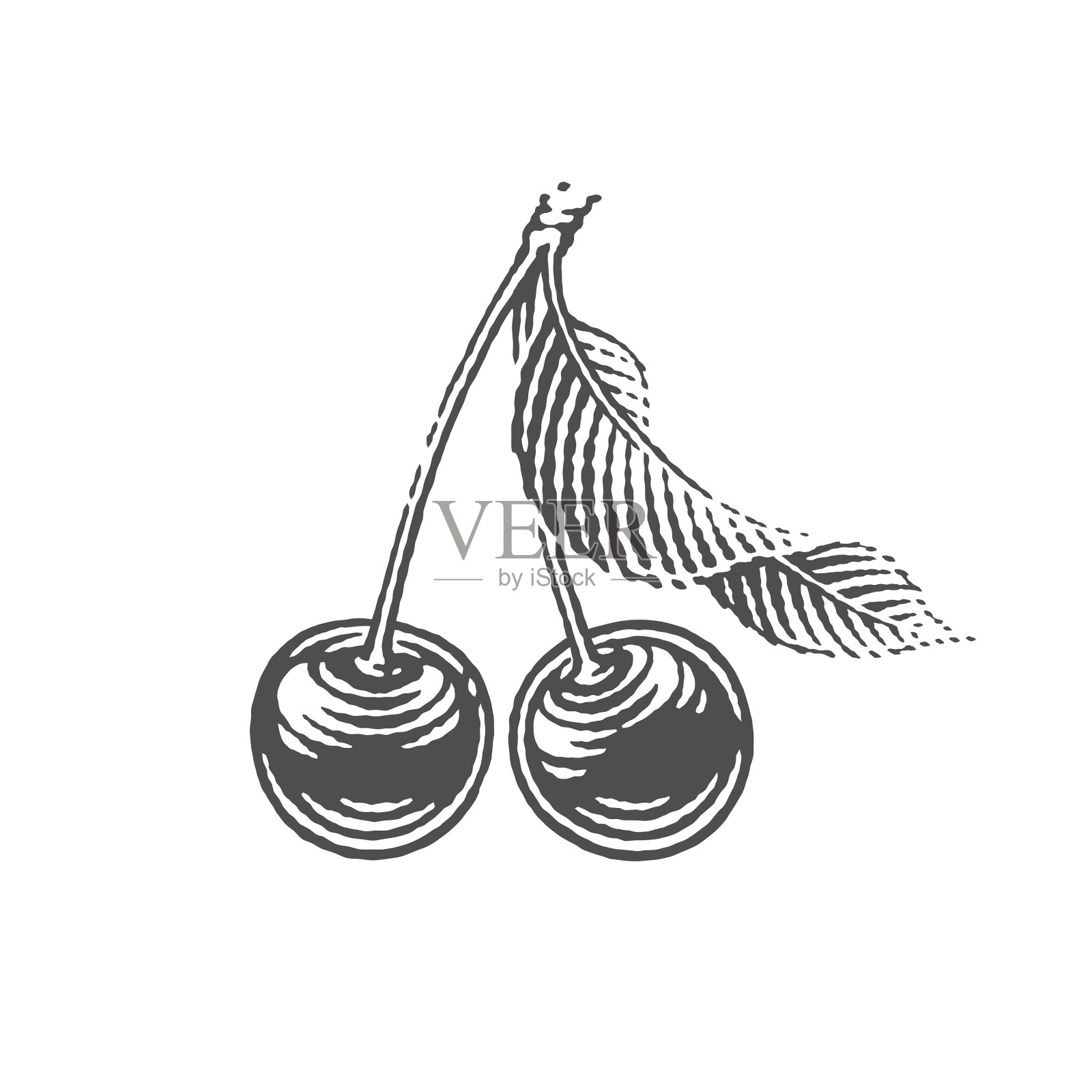 樱桃和樱桃叶插画图片素材