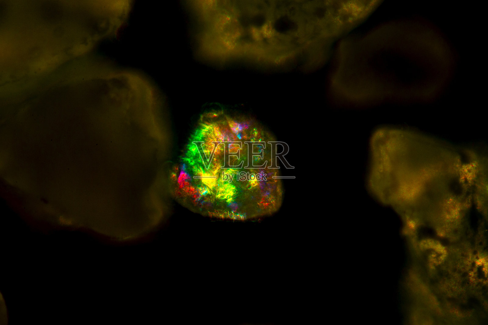 来自阿鲁巴鹰海滩的沙粒显微照片。照片摄影图片