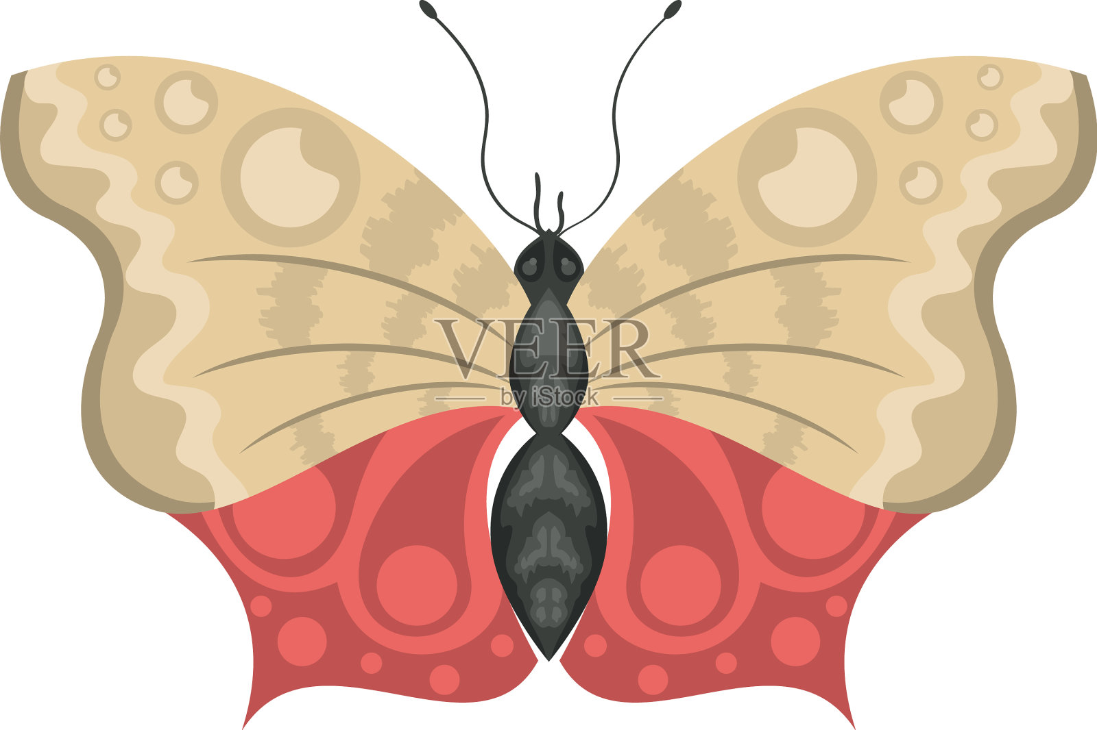 红米色蝴蝶插画图片素材