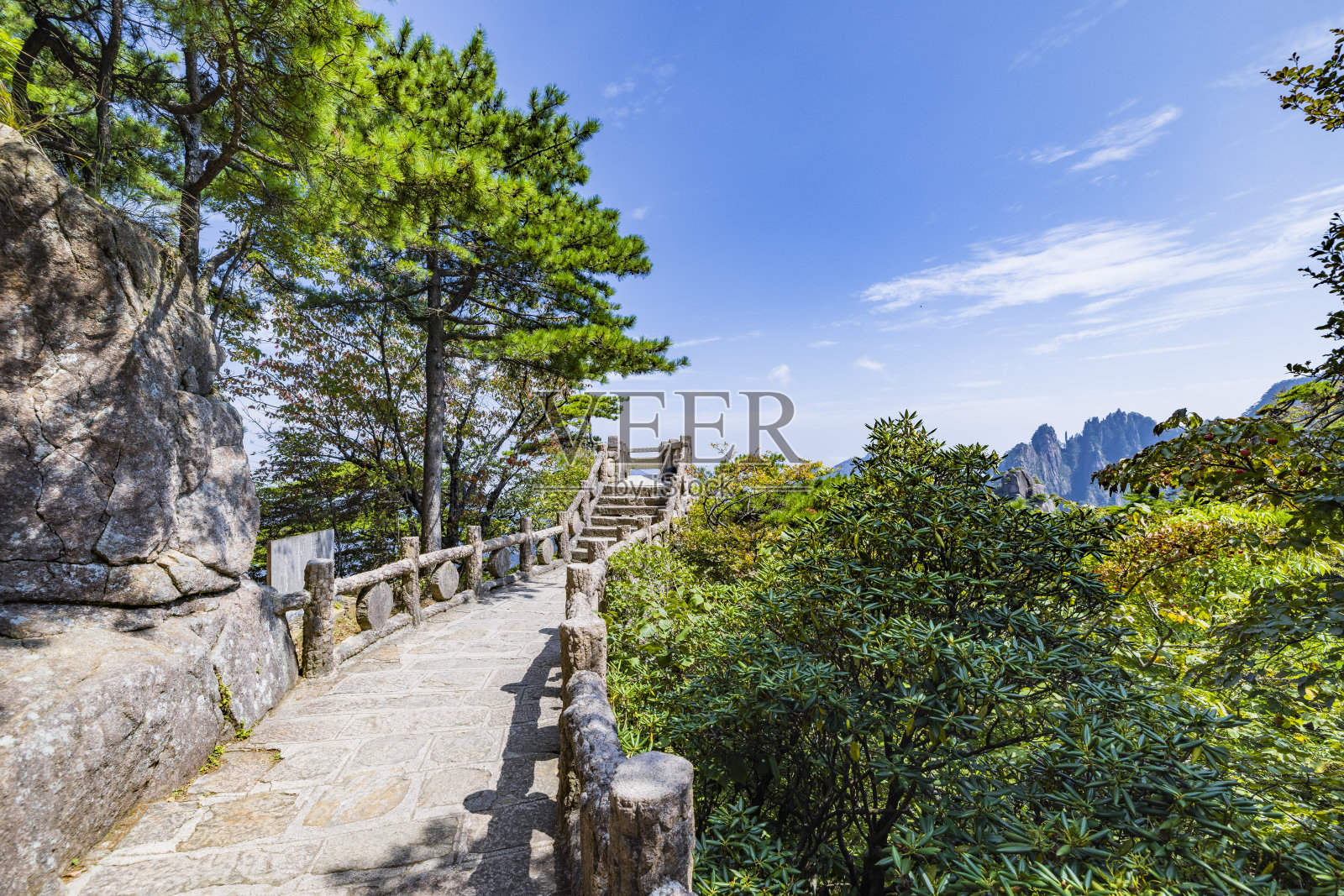 林间小路照片摄影图片