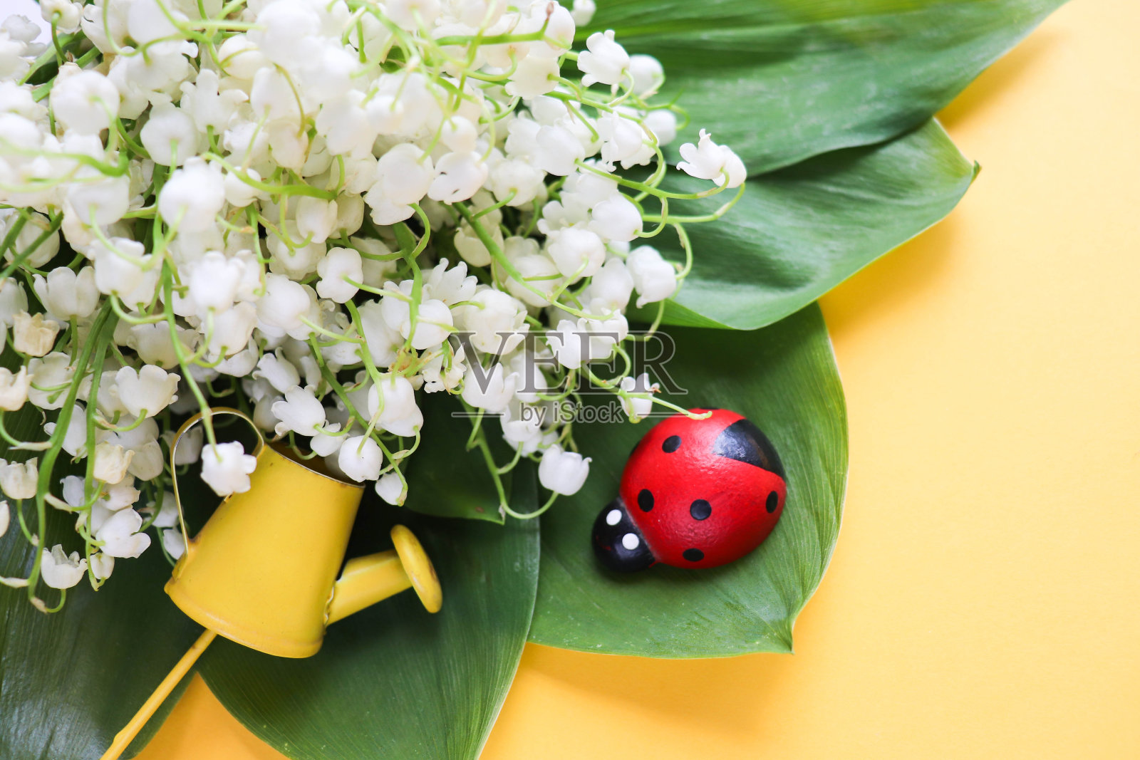 一小束铃兰和一块空白的空白，上面有文字照片摄影图片