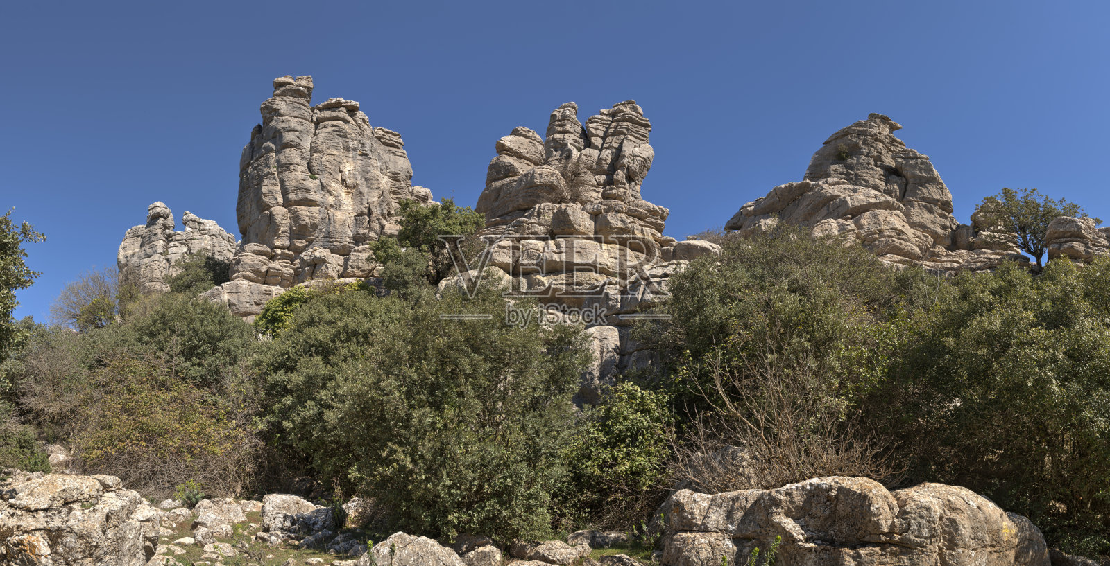 托克尔。2023年3月照片摄影图片