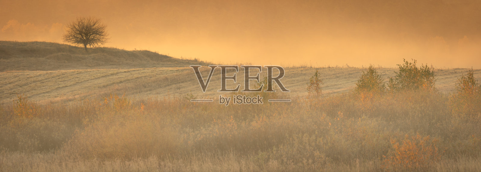 全景十月景观-秋天阳光明媚的日子，美丽的树木和彩色的叶子，波兰，欧洲，波德拉西，森林附近的耕地照片摄影图片