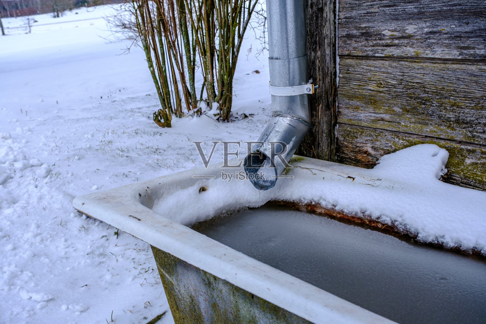 春天里一个大铸铁浴缸里结冰的水照片摄影图片