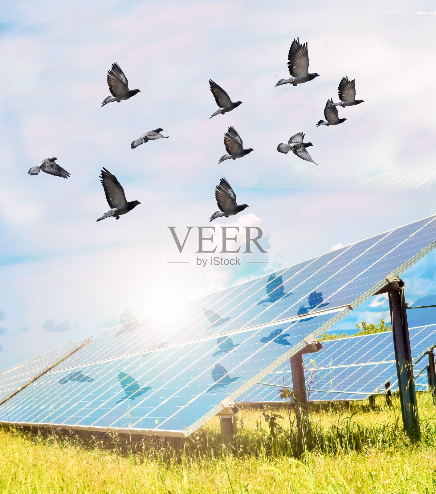 太阳能板天空云春季草坪照片摄影图片