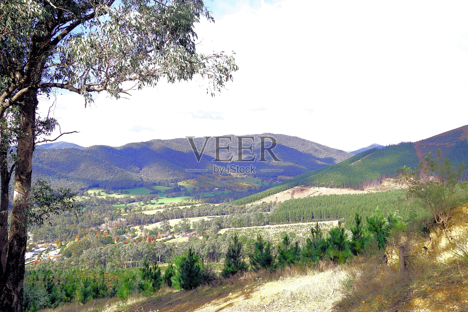 布莱特，维多利亚，澳大利亚照片摄影图片