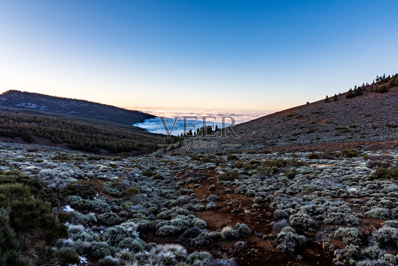 泰德国家公园的景观。照片摄影图片