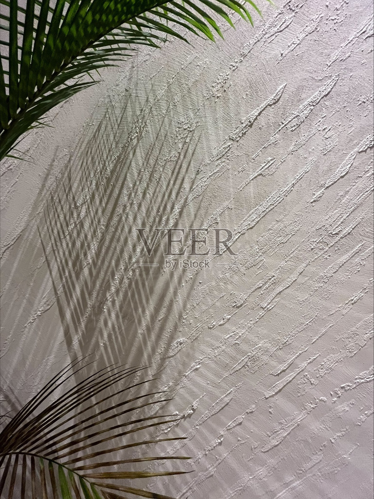 室内照片摄影图片