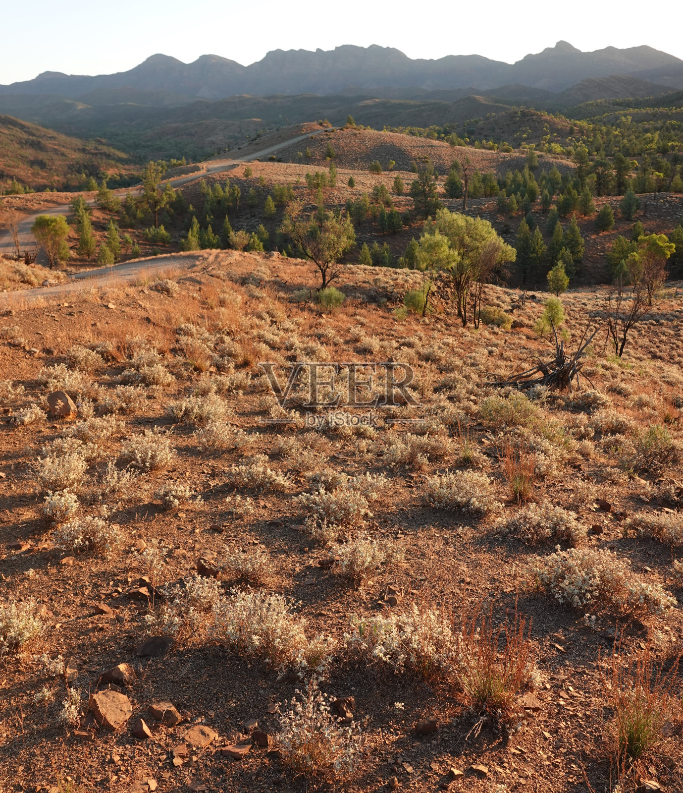从Razorback瞭望台看照片摄影图片