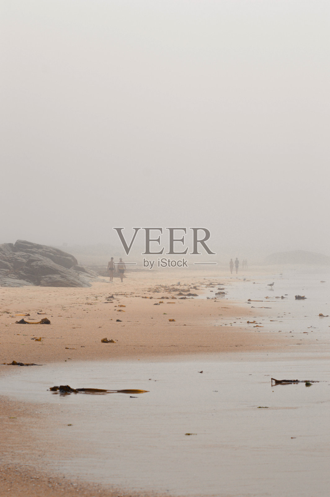 海滩上的雾照片摄影图片