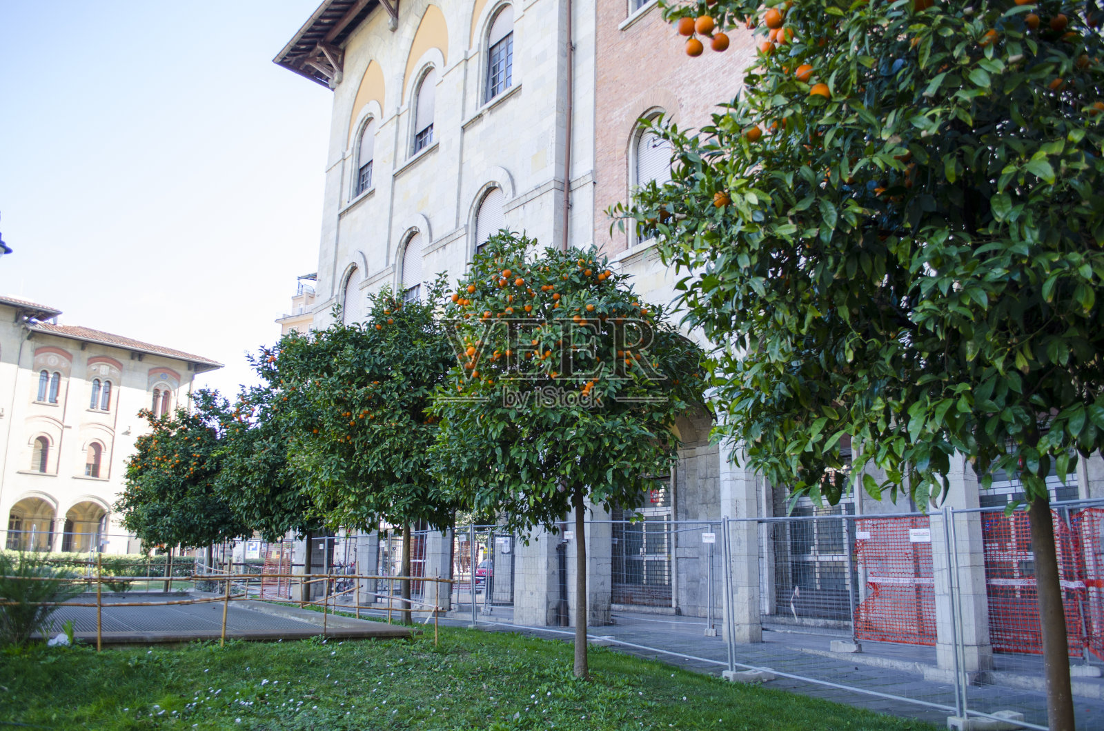 城市街道上橘子树的小巷照片摄影图片