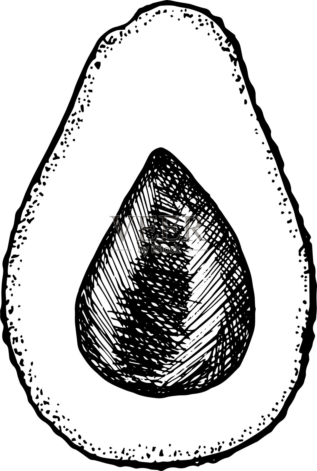 手绘牛油果插画图片素材