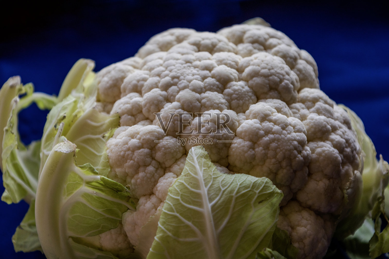 白色花椰菜接近新鲜照片摄影图片