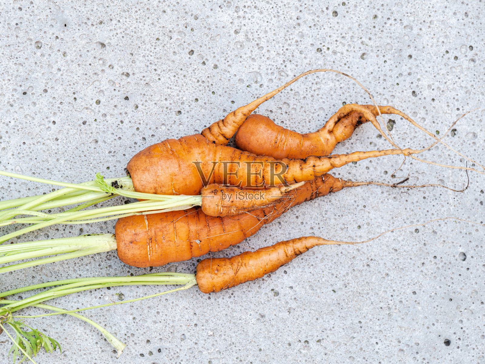 带土和绿色顶部的胡萝卜照片摄影图片
