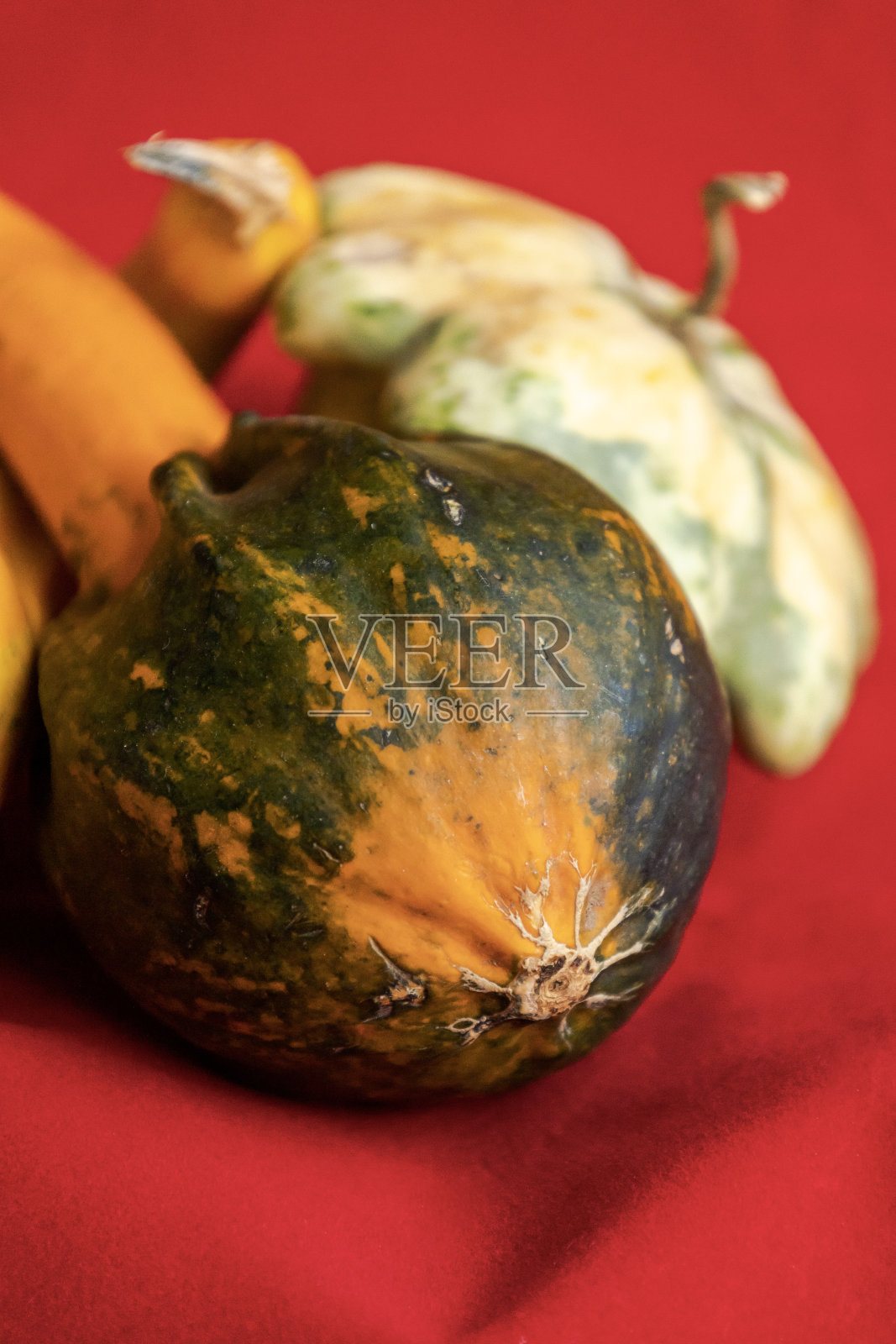 在红色背景上的一个不同的南瓜特写照片摄影图片