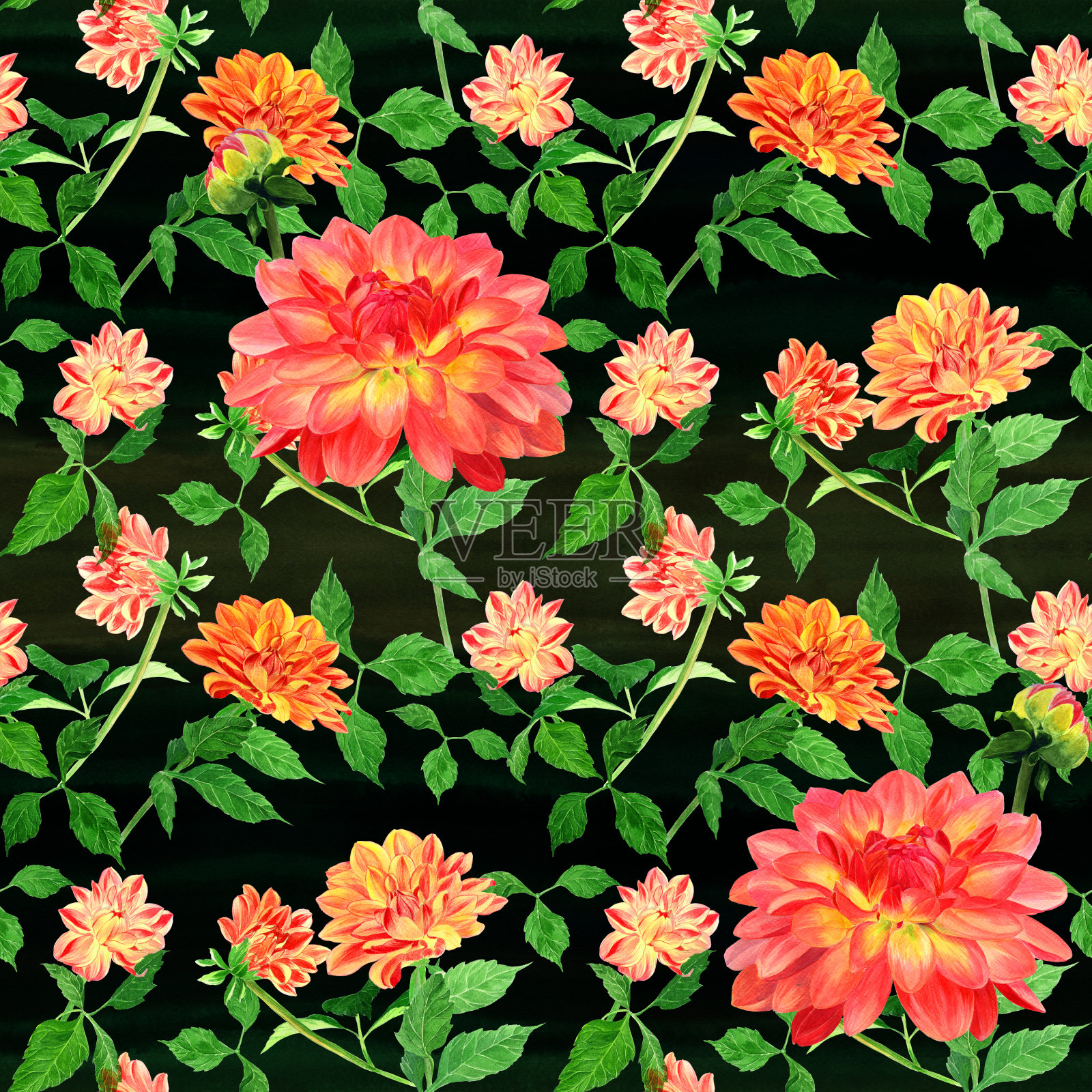 大丽花是一朵花和一个花蕾。水彩。无缝模式。墙纸。使用印刷材料，剪纸卡片，海报，明信片，包装。插画图片素材