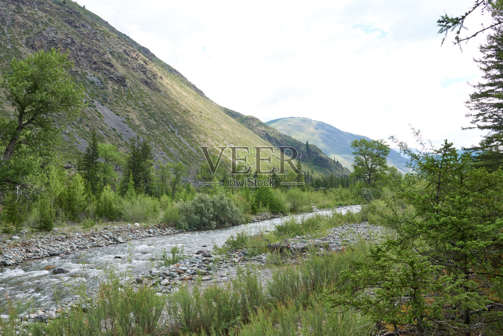 山中有河。在多变的天气里，山间的河流。山里的夏天。平静。照片摄影图片