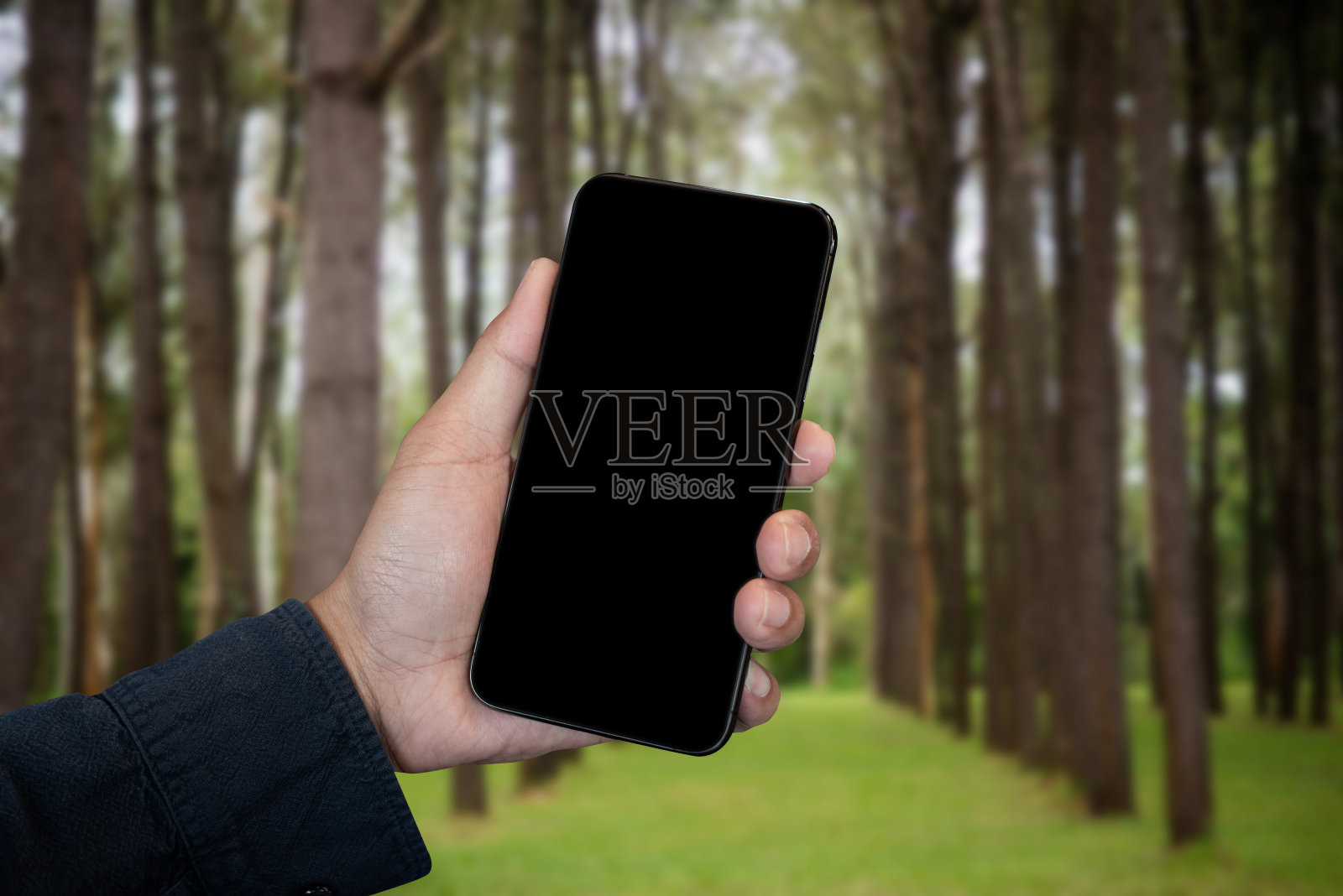 男子手持智能手机屏幕，双手特写。空间的文本和模糊内抽象绿色背景与自然。照片摄影图片