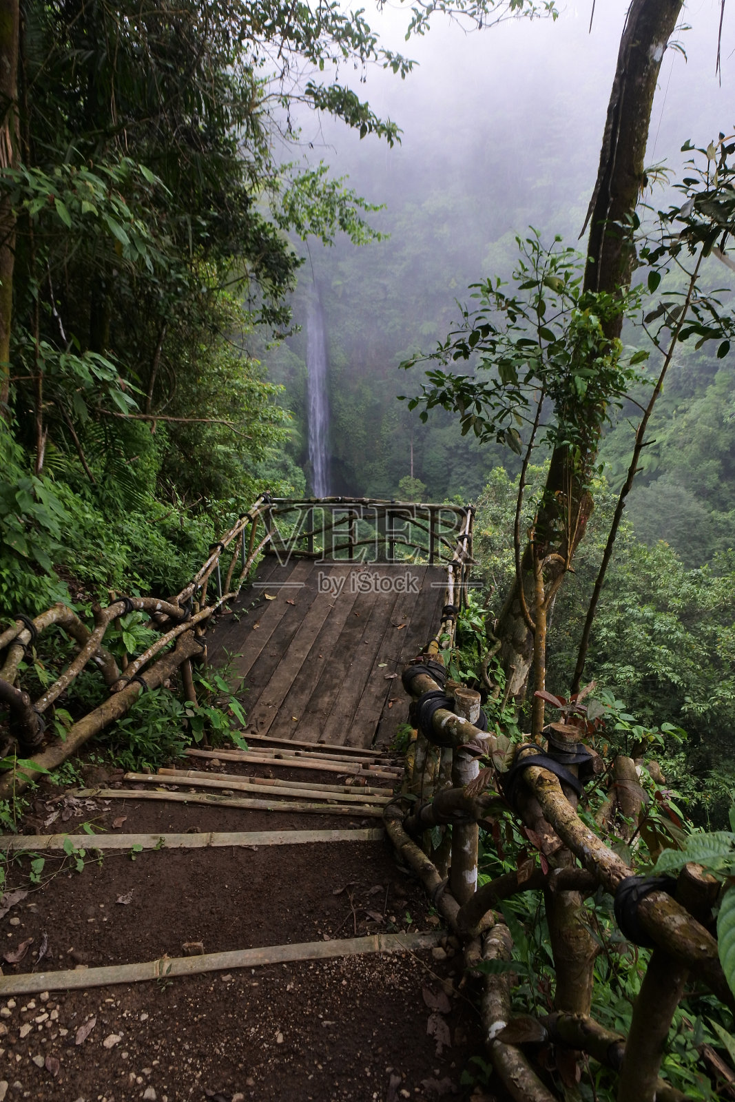 垂直拍摄的木台阶周围的植物和树木照片摄影图片