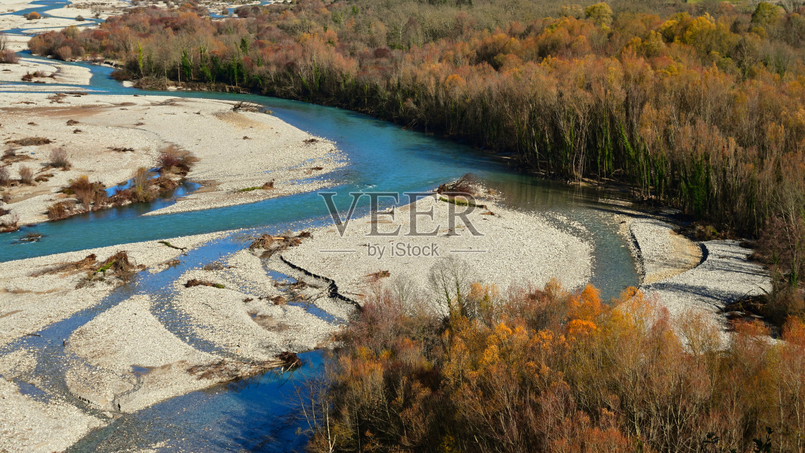 冬季森林的特写照片摄影图片