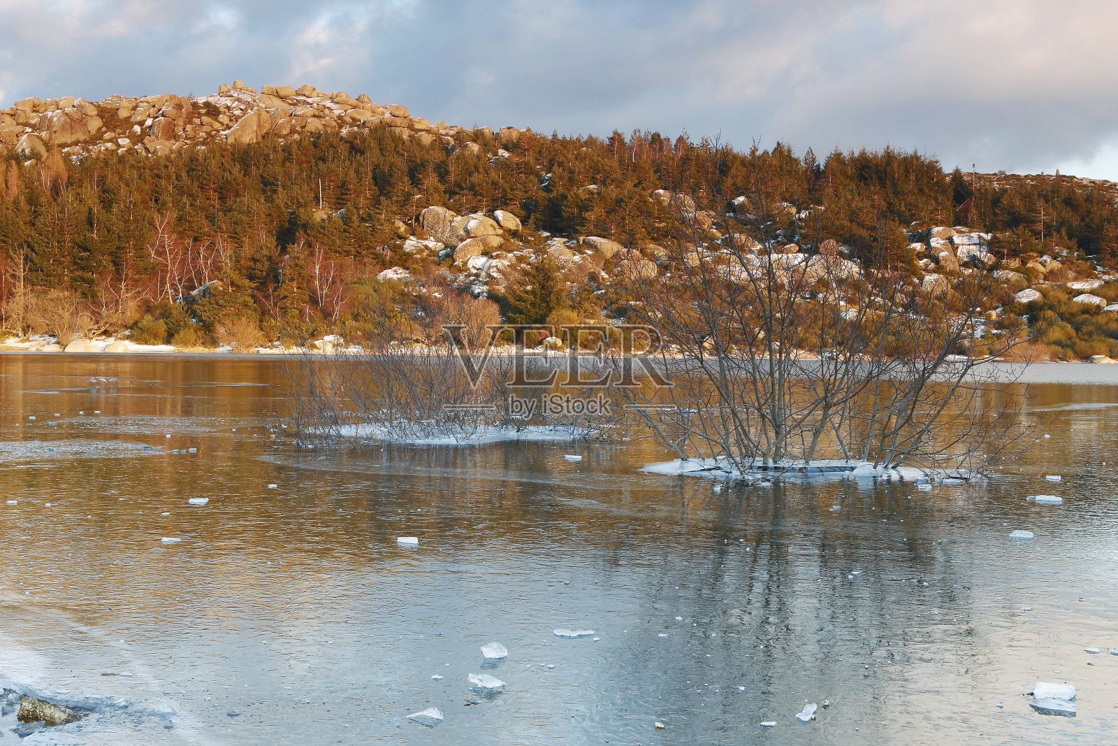 冰封的河岸的美丽照片照片摄影图片