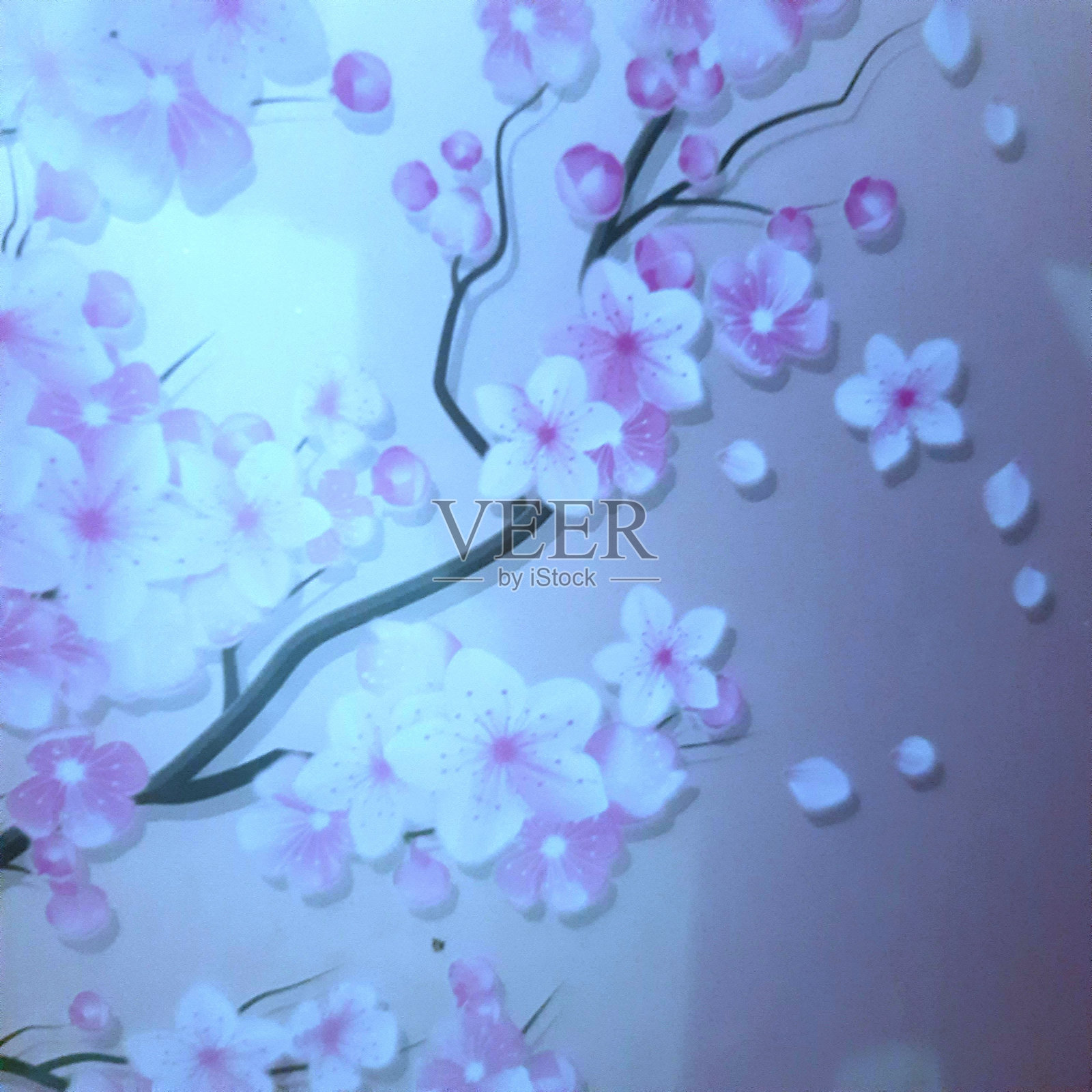 冰箱门上的樱花画照片摄影图片