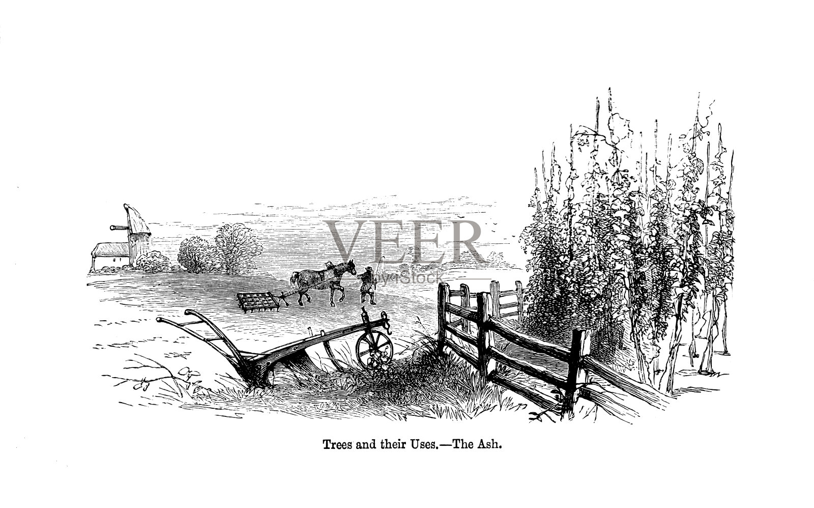 19世纪雕刻乡村风光;《话匣子》杂志1883年插画图片素材