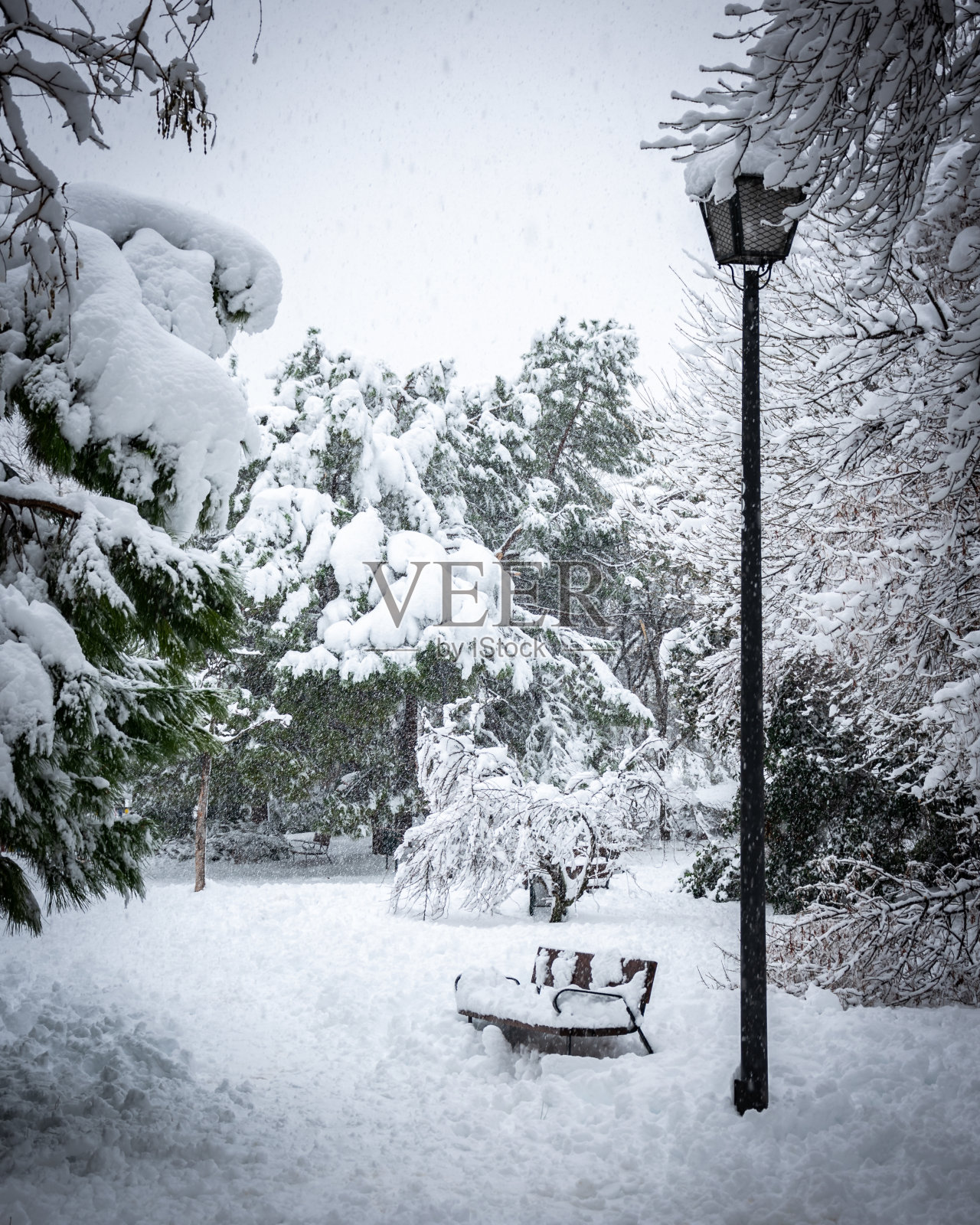 垂直拍摄的长凳和灯在一个下雪的公园，在Villaverde Alto，马德里照片摄影图片